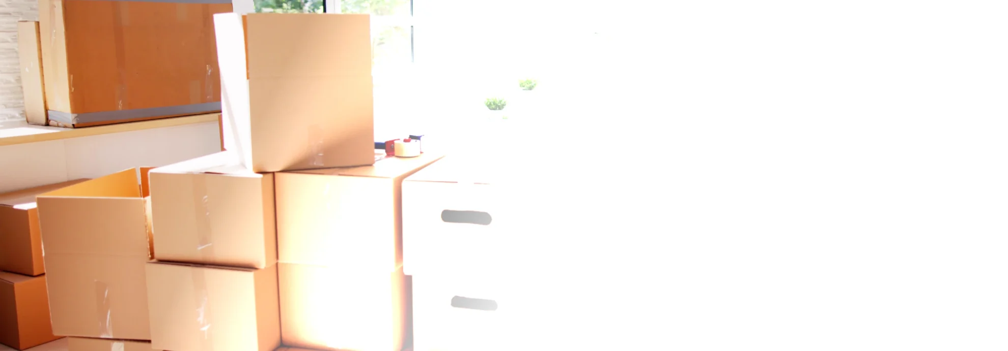 home image background@1.5x